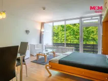 Prodej bytu 1+1, Příbram - Příbram II, Dlouhá, 31 m2