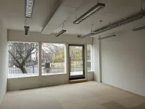 Pronájem obchodního prostoru, Praha - Nusle, Lomnického, 57 m2