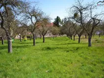 Prodej zahrady, Bučovice, 363 m2