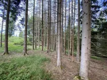Prodej pozemku, Železná Ruda, 3072 m2