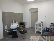 Pronájem komerční nemovitosti, Plzeň, Táborská, 15 m2