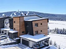 Prodej bytu 3+kk, Loučná pod Klínovcem, 102 m2