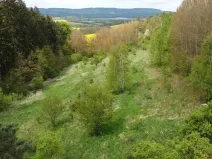 Dražba louky, Křenov, 16180 m2