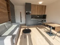 Pronájem bytu 1+kk, Praha - Holešovice, V háji, 34 m2