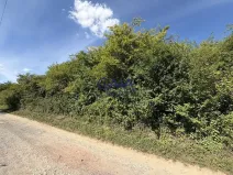 Prodej pole, Buchlovice, 8411 m2