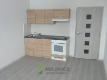 Pronájem bytu 1+kk, Milovice, Slepá, 26 m2