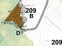 Dražba lesa, Ketkovice, 907 m2