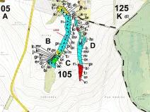 Dražba lesa, Babice u Rosic, 359 m2