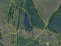 Prodej louky, Prackovice nad Labem, 41221 m2