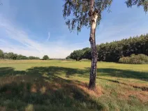 Prodej pole, Vodňany - Újezd, 6021 m2