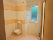 Pronájem bytu 2+kk, Uherský Brod, 64 m2