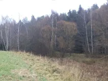 Dražba louky, Vyšší Brod, 919 m2