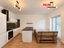 Prodej bytu 1+kk, Ostrava - Slezská Ostrava, Na Baranovci, 36 m2
