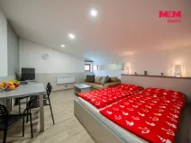 Prodej bytu 1+kk, Ostružná - Ramzová, 30 m2