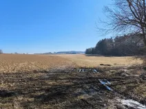 Prodej louky, Krahulčí, 116147 m2