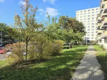 Prodej bytu 3+1, Brno, Merhautova, 67 m2