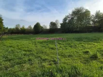 Prodej pozemku pro bydlení, Skalice u České Lípy, 3506 m2