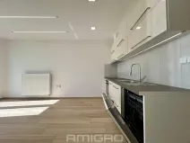Pronájem bytu 1+kk, Brno, Věstonická, 38 m2