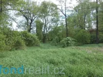 Prodej pozemku, Dětmarovice - Koukolná, 1844 m2
