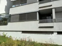 Pronájem ostatní, Brno - Staré Brno, Kopečná