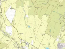 Prodej lesa, Staré Město, 11219 m2