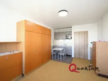 Pronájem bytu 1+kk, Praha - Braník, Údolní, 27 m2