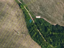 Dražba lesa, Horní Dunajovice, 78 m2