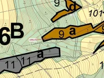 Dražba lesa, Hovězí, 115 m2