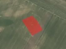 Prodej pole, Nový Vestec, 5630 m2