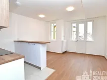 Pronájem bytu 1+kk, Praha - Vinohrady, Řipská, 30 m2