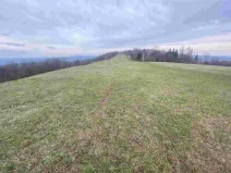 Prodej pole, Mírová pod Kozákovem - Vesec, 14714 m2