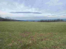 Prodej pole, Mírová pod Kozákovem - Vesec, 14714 m2