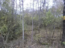 Prodej pozemku, Rozvadov, 2388 m2
