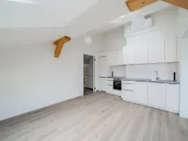 Pronájem bytu 2+kk, Praha - Nové Město, Václavské náměstí, 43 m2