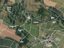 Prodej lesa, Strmilov, 881 m2