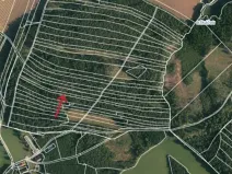 Prodej lesa, Strmilov, 2392 m2