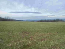 Dražba louky, Mírová pod Kozákovem, 14714 m2