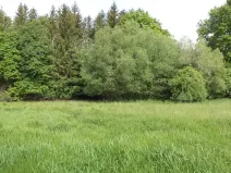 Dražba louky, Pluhův Žďár, 1175 m2