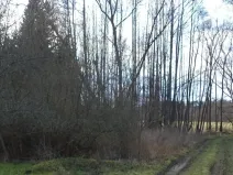 Dražba louky, Kočov, 5244 m2