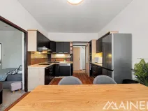 Prodej bytu 1+1, Plzeň, Nad Týncem, 49 m2