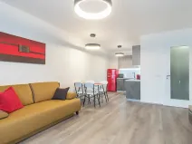 Pronájem bytu 2+kk, Praha - Karlín, Nekvasilova, 67 m2
