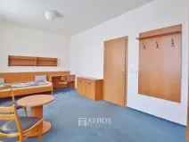 Pronájem bytu 1+kk, Brno, Horova, 27 m2