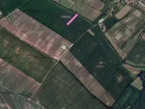 Prodej pole, Nový Poddvorov, 6090 m2
