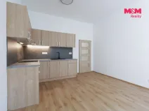 Pronájem bytu 2+kk, Plzeň - Jižní Předměstí, Americká, 62 m2