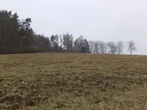 Prodej pole, Zvěstov - Bořkovice, 9983 m2