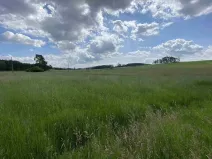 Prodej pozemku, Planá - Pavlovice, 1400 m2