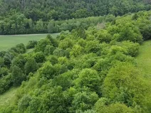Prodej pozemku, Skorotice, 6028 m2