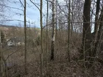 Prodej lesa, Rokytnice v Orlických horách, 3079 m2