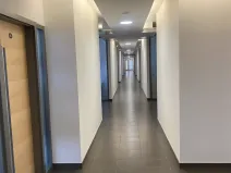 Pronájem kanceláře, Brno, Gajdošova, 23 m2