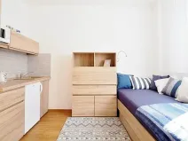 Prodej bytu 1+kk, Brno, Cejl, 17 m2